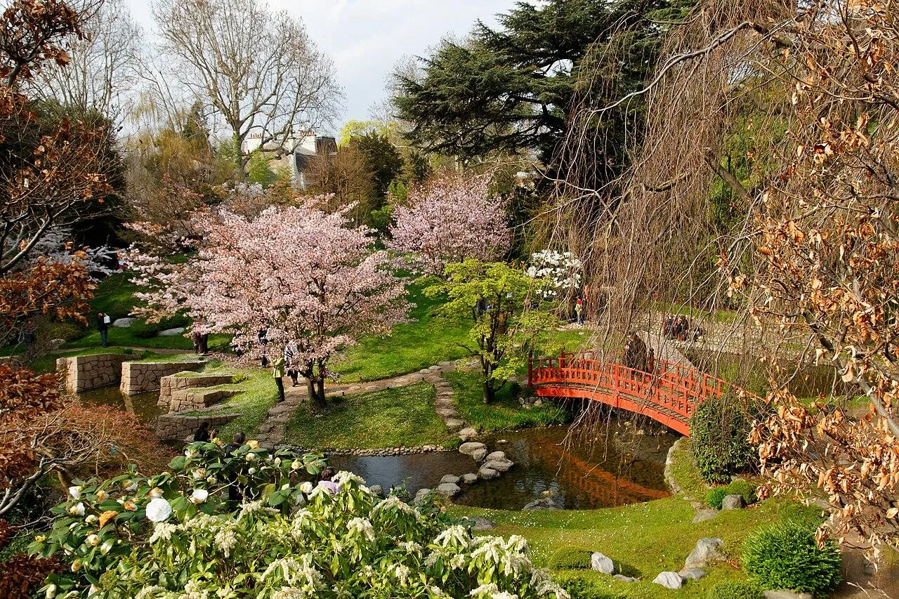 Paisajismo naturalista: cómo crear jardines sostenibles y armónicos sin grandes gastos