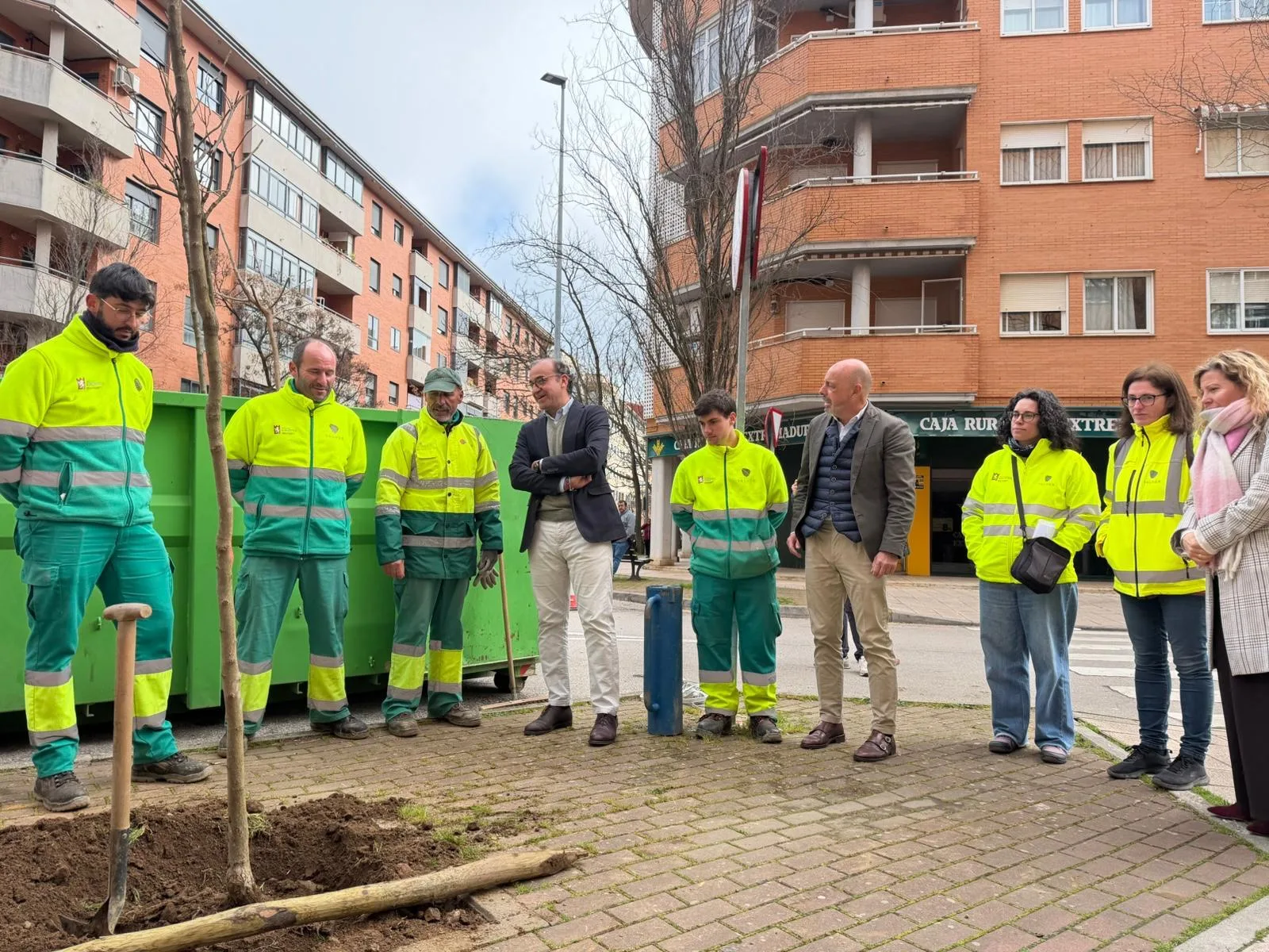 Plantación de árboles se reactiva en Úbeda, Cáceres y Rubena